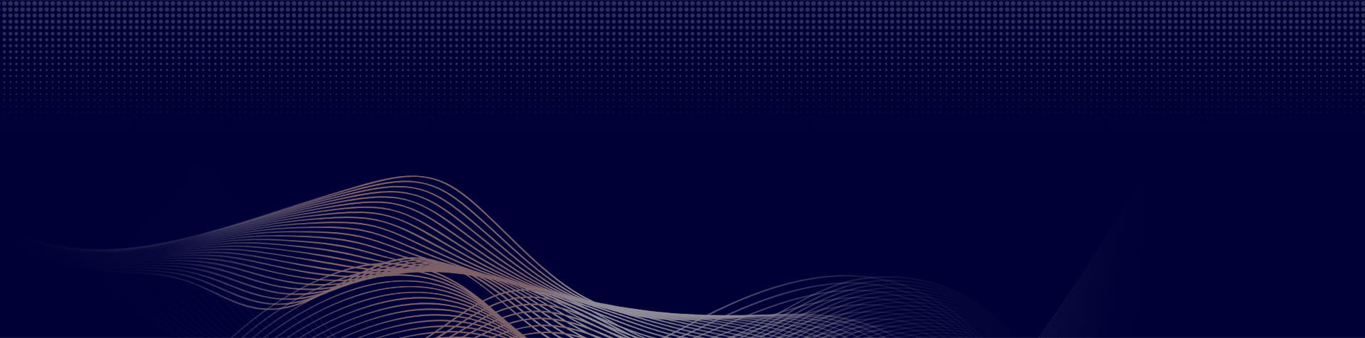 高级搜索 德州理工